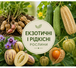 Насіння екзотичних і рідкісних рослин
