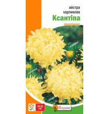 ТМ ЯСКРАВА Айстра карликова Ксантіпа 0,3г