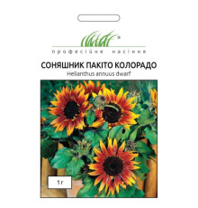 ТМ Профессиональные семена Подсолнечник Пакито Колорадо 1г