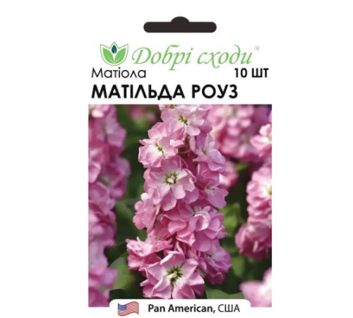 ТМ ДОБРІ СХОДИ Матіола Матільда Роуз 10шт