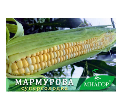 ТМ МНАГОР Кукурудза цукрова Мармурова F1 50шт