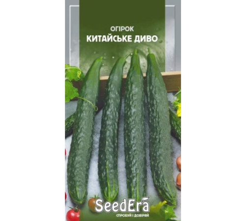 ТМ Seedera Огірок Китайський Холодостійкий 10шт