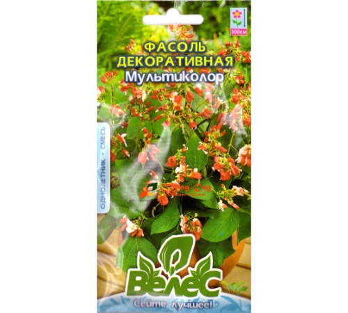 ТМ ВЕЛЕС Фасоль декоративная Мультиколор 5шт