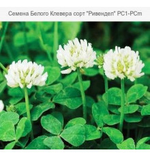 МикроКонюшина біла Рівендел Rivendel 1кг