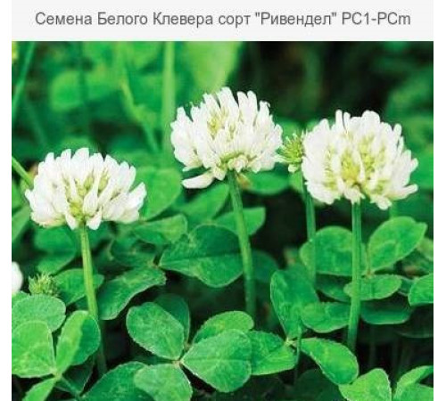 МикроКонюшина біла Рівендел Rivendel 1кг