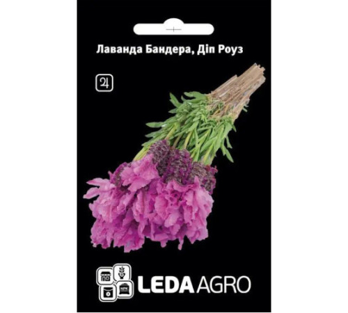 ТМ LEDAAGRO Лаванда Бандера Дип роуз 5шт