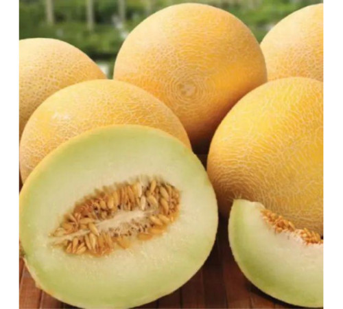 ТМ LEDAAGRO Диня Ананас 0,5г