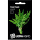 ТМ LEDAAGRO Рукола Колтівей 1г