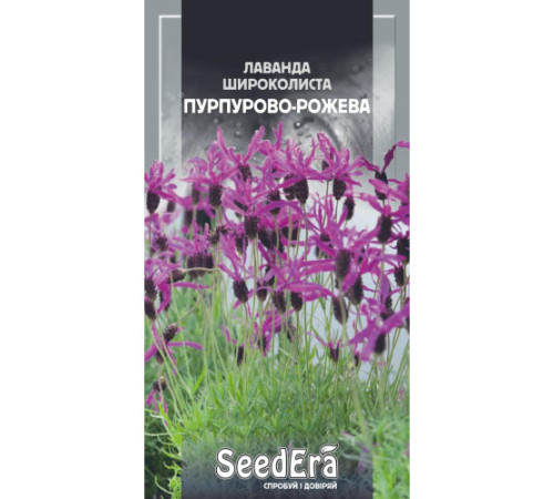 ТМ SeedEra Лаванда фран.широколиста Пурпурово-рожева 0,1г