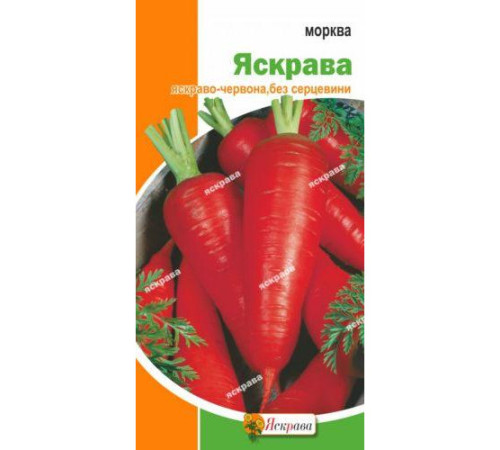 ТМ ярко Морковь яркая 3г