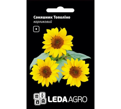 ТМ LEDAAGRO Соняшник карликовий Тополіно 0,5г